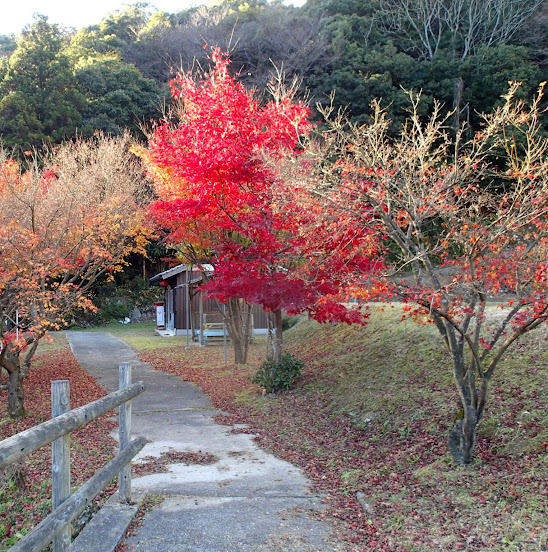 淵ヶ平公園's image 1