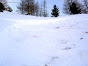 Avalanche Queyras, secteur Pic de Guillestre, crête séparant "le Vallon" du vallon de Bramousse entre les points 2369m et 2489m - Photo 3 - © Guillaume Arnaud 
