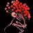 Sergio Encinas avatar image