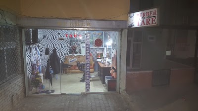 Photos of Berber TARE