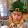 ELOIR HERNANDEZ JUAREZ ELOIR HERNANDEZ JUAREZ's profile photo