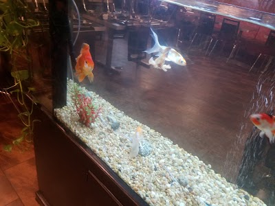 Photos of Pho Ha Vietnamese Restaurant
