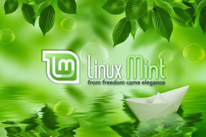 Si te gusta Cinnamon, usa Linux Mint