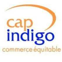 Cap Indigo logo