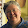 Betty Tisel Betty Tisel's profile photo