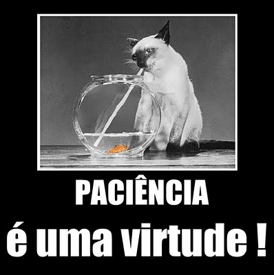 Resultado de imagem para a virtude da paciência