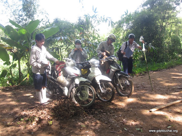 GDPT Duc Hai, gdptduchai, Sinh Nh�t Thanh Nam IV