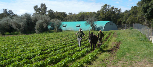 La Ferme d'Alzetta
