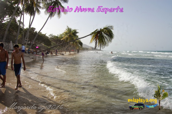 Playa Guacuco NE026, estado Nueva Esparta, Margarita