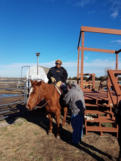 Photos of Cloud 9 Therapeutic Equine Foundation