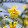 Dave Hannon Dave Hannon's profile photo