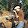 Ricardo Chavarria Ricardo Chavarria's profile photo