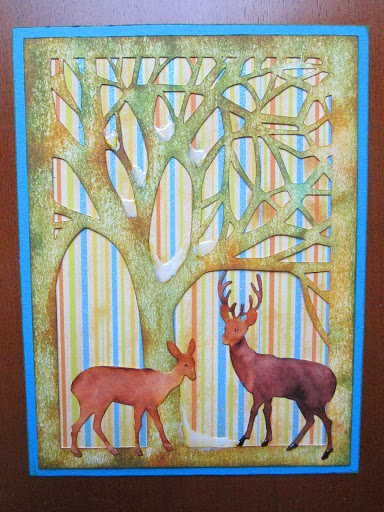 Forêt de Noël en couleurs IMG_5551