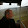 David Land David Land's profile photo