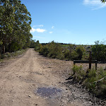 Black Range trail south of the pine plantation (416852)