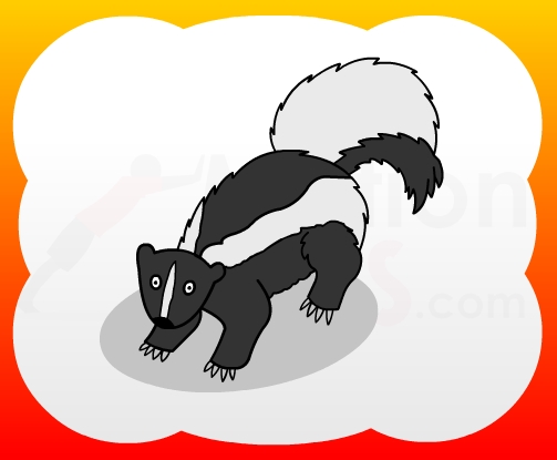 How to draw Skunk for kids