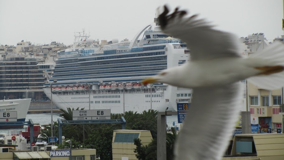 Crown Princess - мой первый круиз и первая сбыча мечт, май 2012
