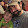 jared ropelato jared ropelato's profile photo