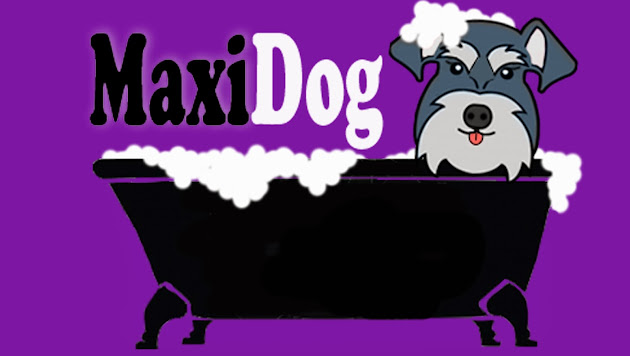 Cover photo