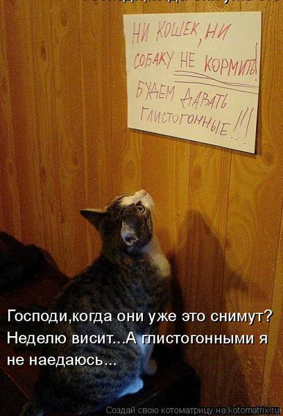 Ни дня без улыбки. Здоровый пессимизм... Ни дня без улыбки. Здоровый пессимизм...
