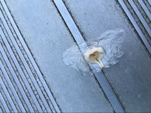 使用者頭像1