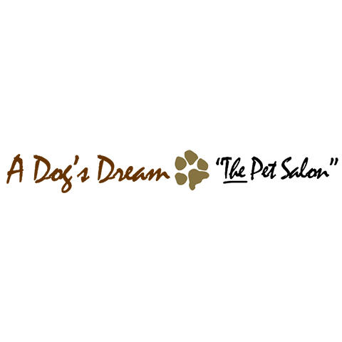 A Dog's Dream - The Pet Salon