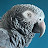 Siniša Jurišić avatar image