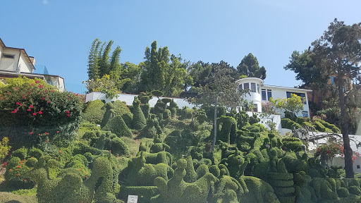Harpers Topiary Garden