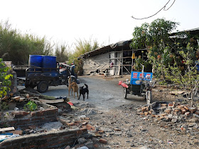 dogs next to two motorized tricycle carts south of Jiaoqiao New Road (滘桥新路) in Yangjiang