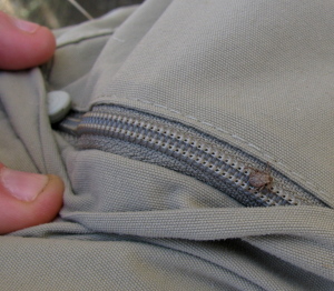tick on the zipper of my pants, as large as the zipper is wide