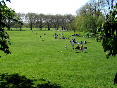 crowded park on a sunny day