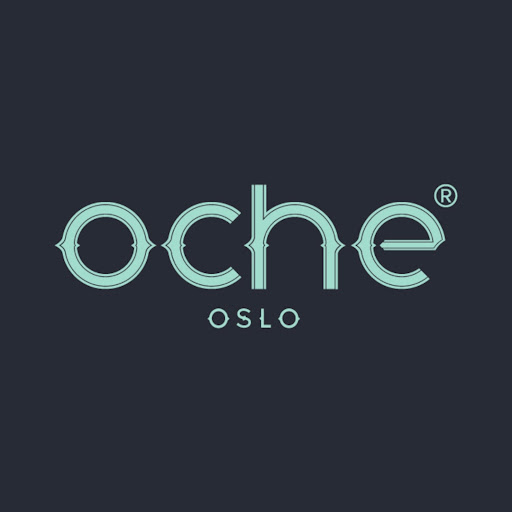 OCHE logo
