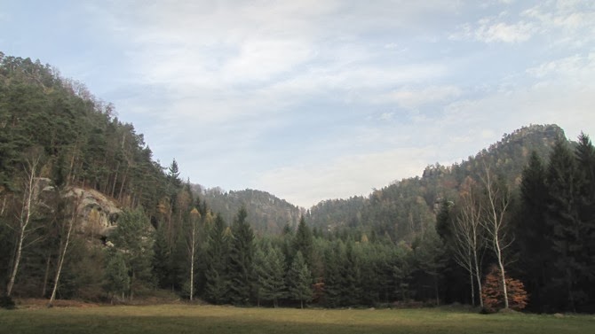 IMG_2514.JPG