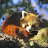 Myushi Tanaka avatar image