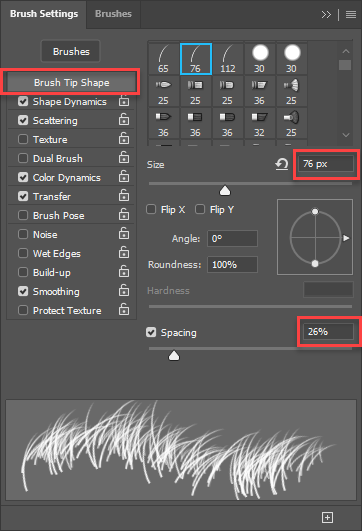 Shows the brush's Brush Tip Shape settings