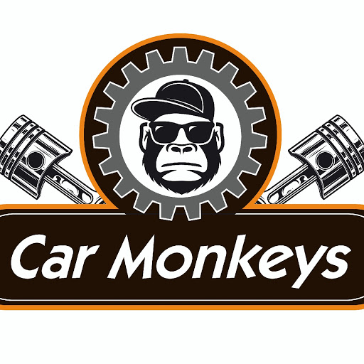 Car Monkeys logo