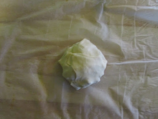 futrovnik