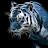 Supertiger review