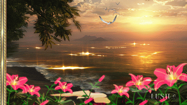 4dadd42c-bc12-402a-910e-ebe0d46f0fa7.gif