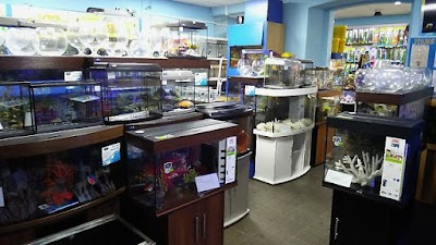 Photos of Akvarium