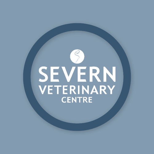 Severn Veterinary Centre and Hydrotherapy Suite