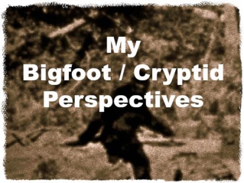 My Bigfoot Cryptid Perspectives