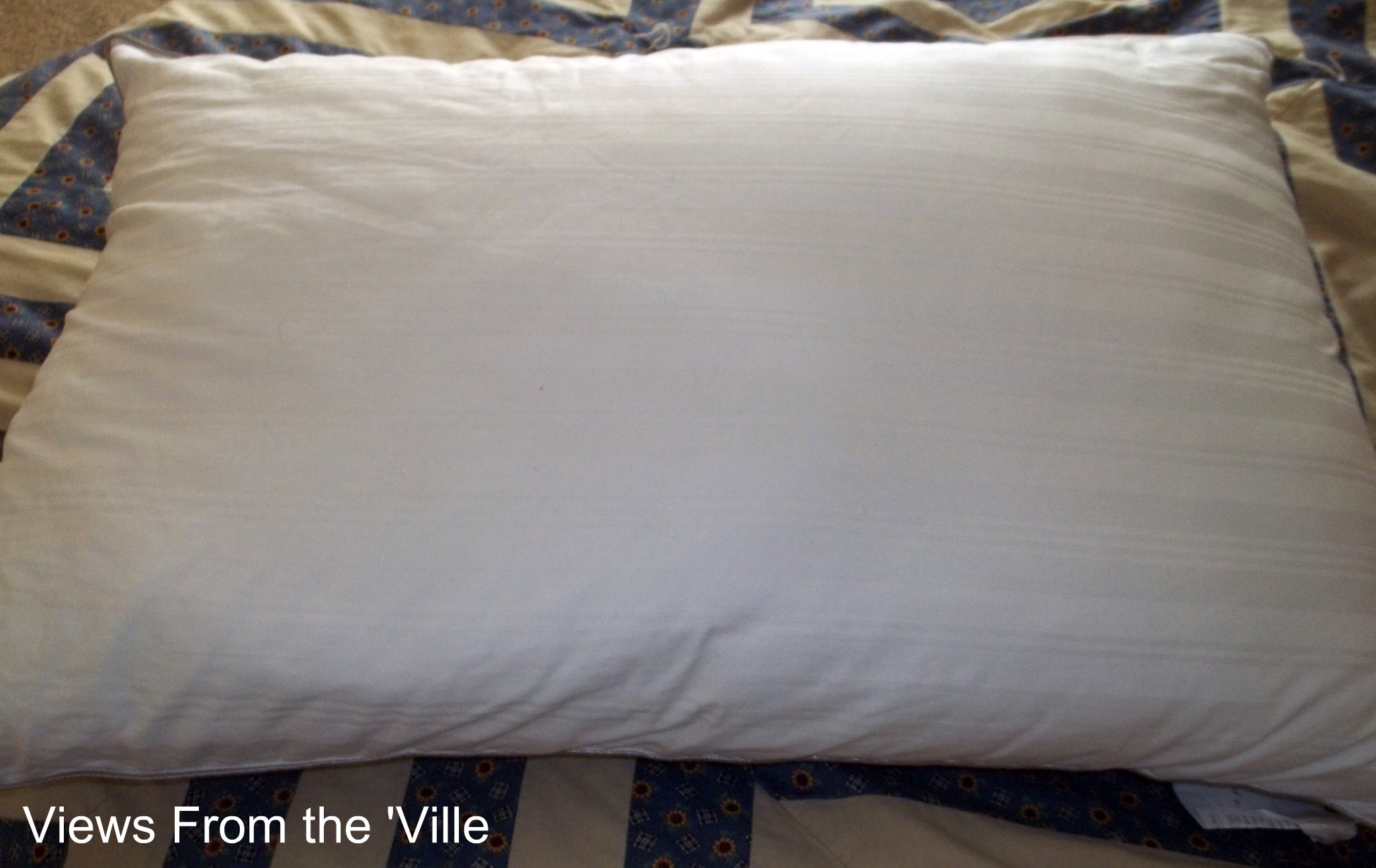 Bare Fieldcrest Luxury Pillow