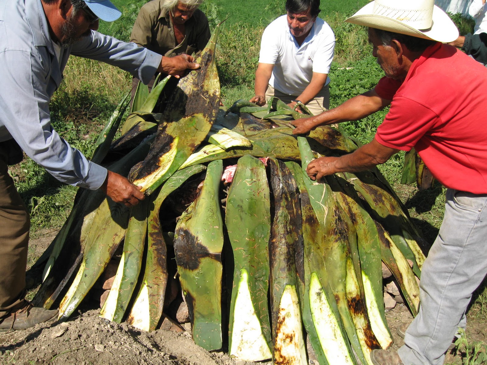 rossybas SJZ La Barbacoa.