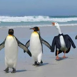 Nguyễn Trọng Thăng