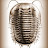 TrilobiteBurger