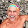 John Schulte John Schulte's profile photo