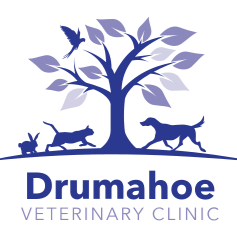 Drumahoe Veterinary Clinic logo