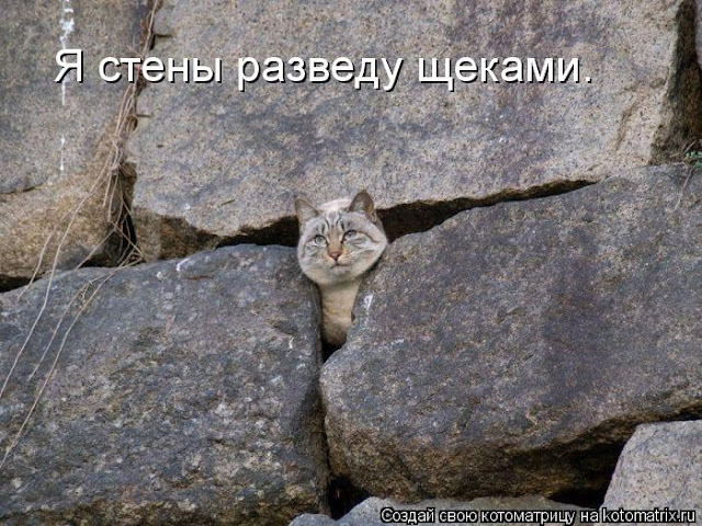 Ни дня без улыбки. Нам без дураков нельзя... Ни дня без улыбки. Нам без дураков нельзя...