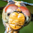 David B. Mathis avatar image